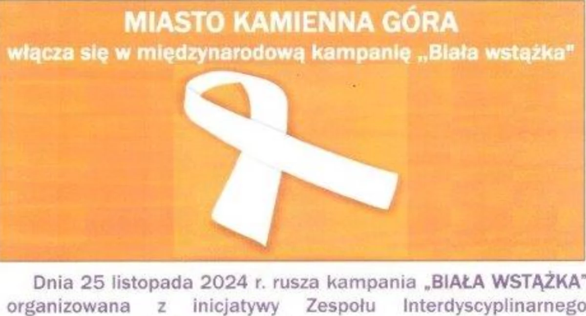 Kamienna Góra włącza się w międzynarodową kampanię 