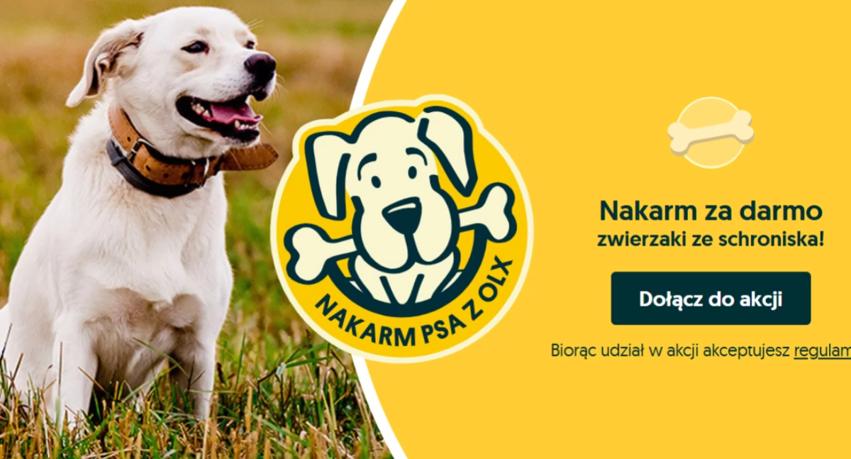 Nakarm psa
