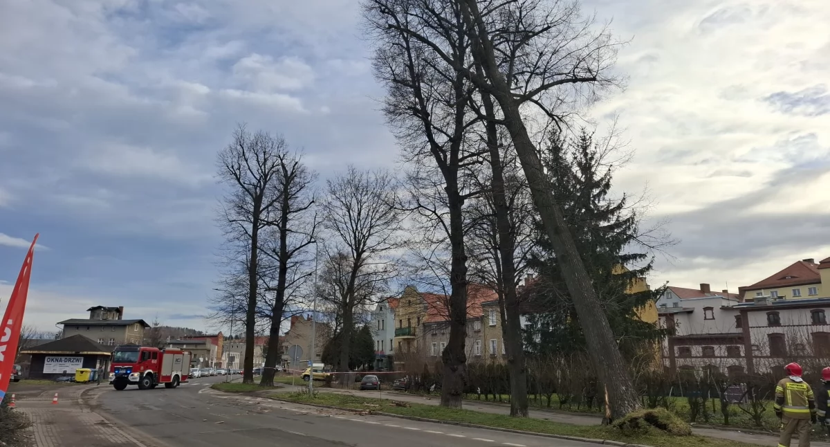 Zamknięta ul. Spacerowa