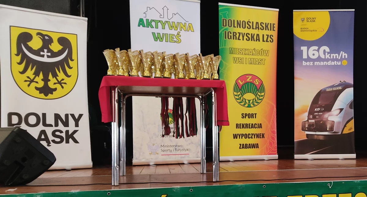 Sukcesy sportowców na XXV Igrzyskach LZS 2024