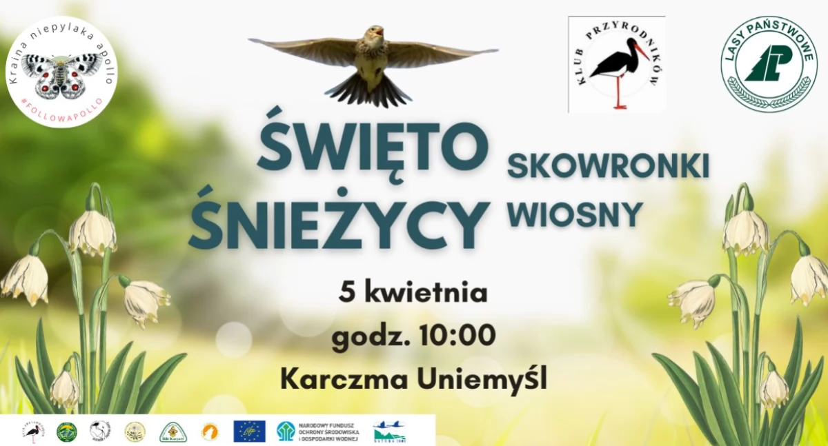 Święto Śnieżycy - Skowronki wiosny