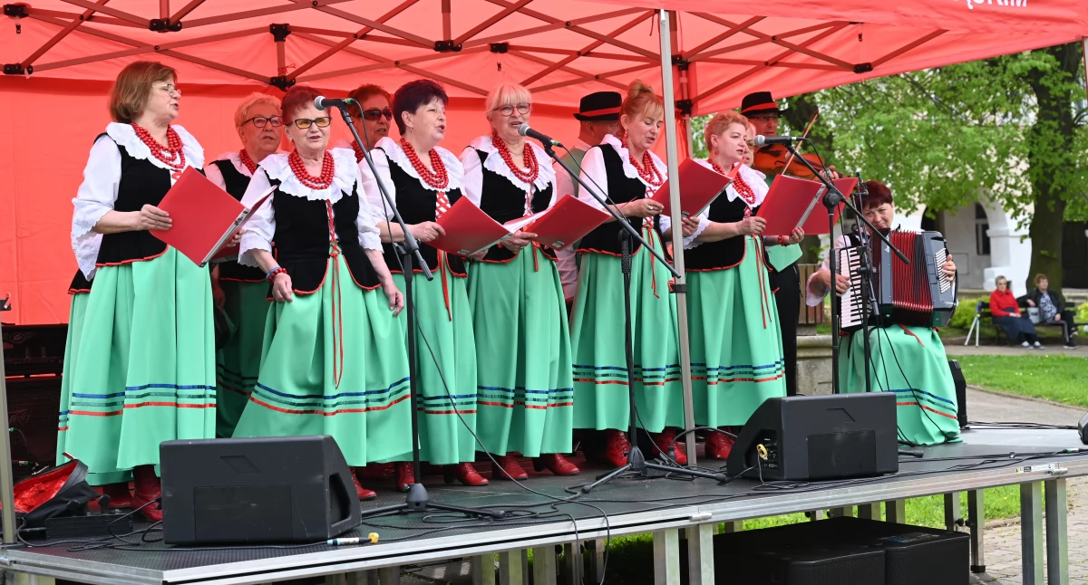 Piknik rodzinny w Chełmsku Śląskim