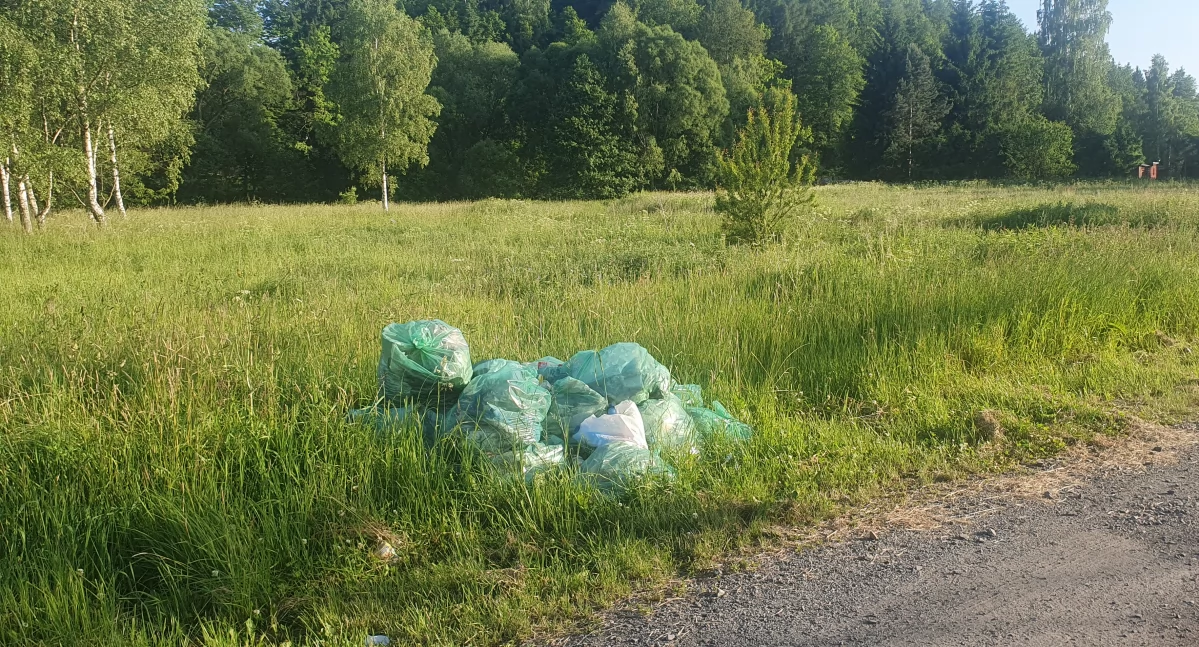 Sterta śmieci