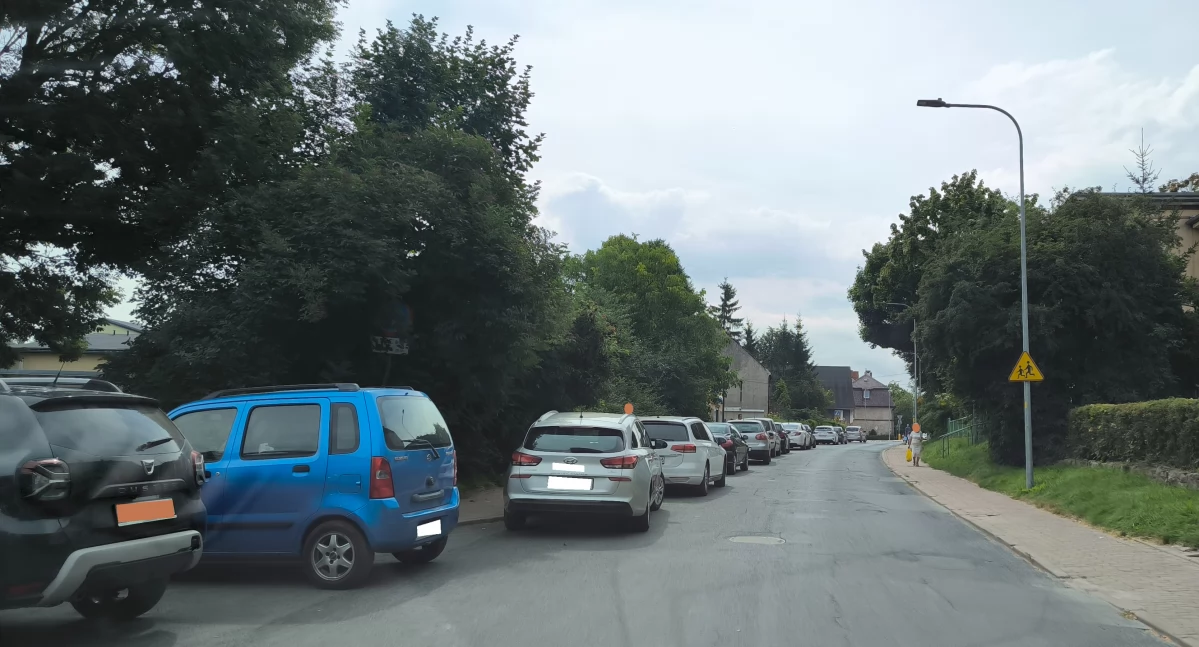 Widzicie ten znak? Ten po lewej stronie drogi!