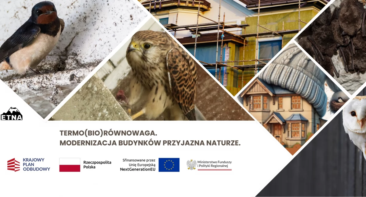Termomodernizacja przyjazna naturze