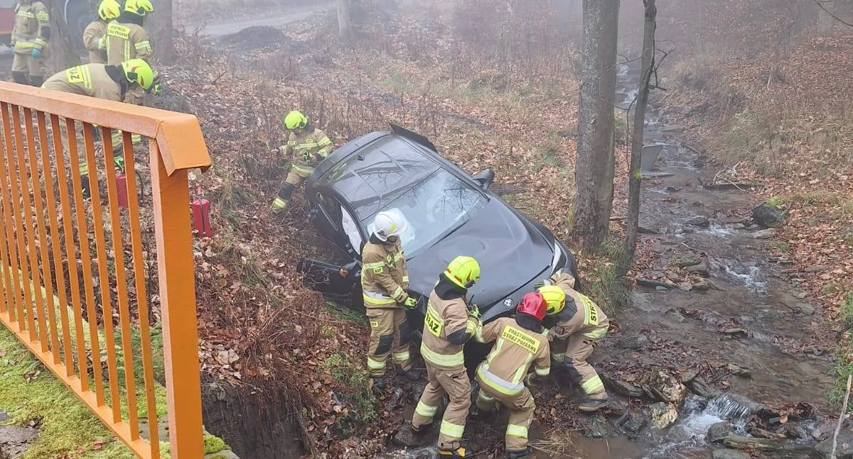 Samochód poza drogą