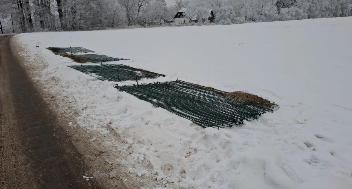 Zniszczone ogrodzenie w Pisarzowicach