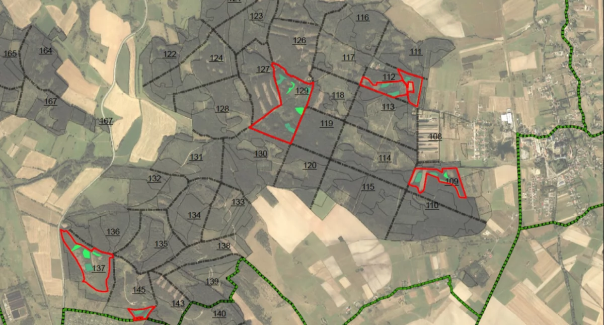 Rozmowa o lasach w leśnictwie Krzeszów
