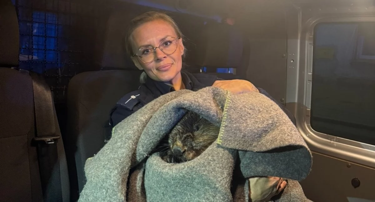Policjanci pomogli bobrowi
