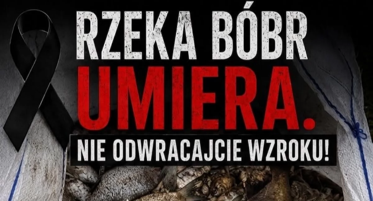 Protest w Kaczorowie