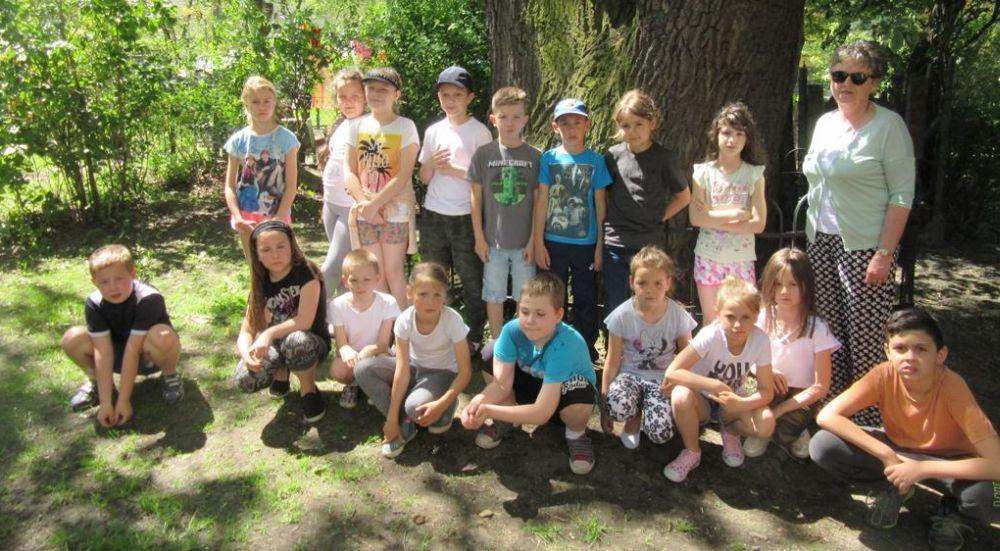 Poznawali pomniki przyrody w Kamiennej Górze
