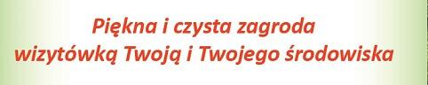 Piękna i czysta zagroda