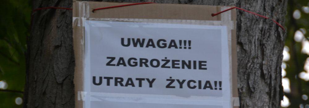 Anonimowe ogłoszenia