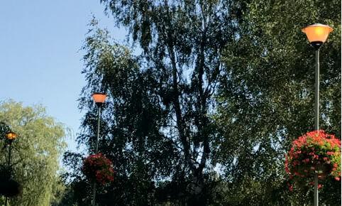 Oświetlony zalew - Twoja powiatowa