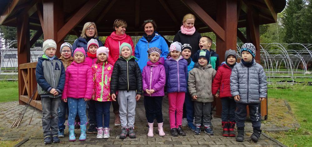 Biedronki w lesie