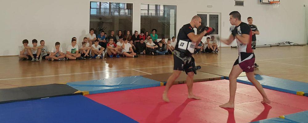MMA w Lubawce