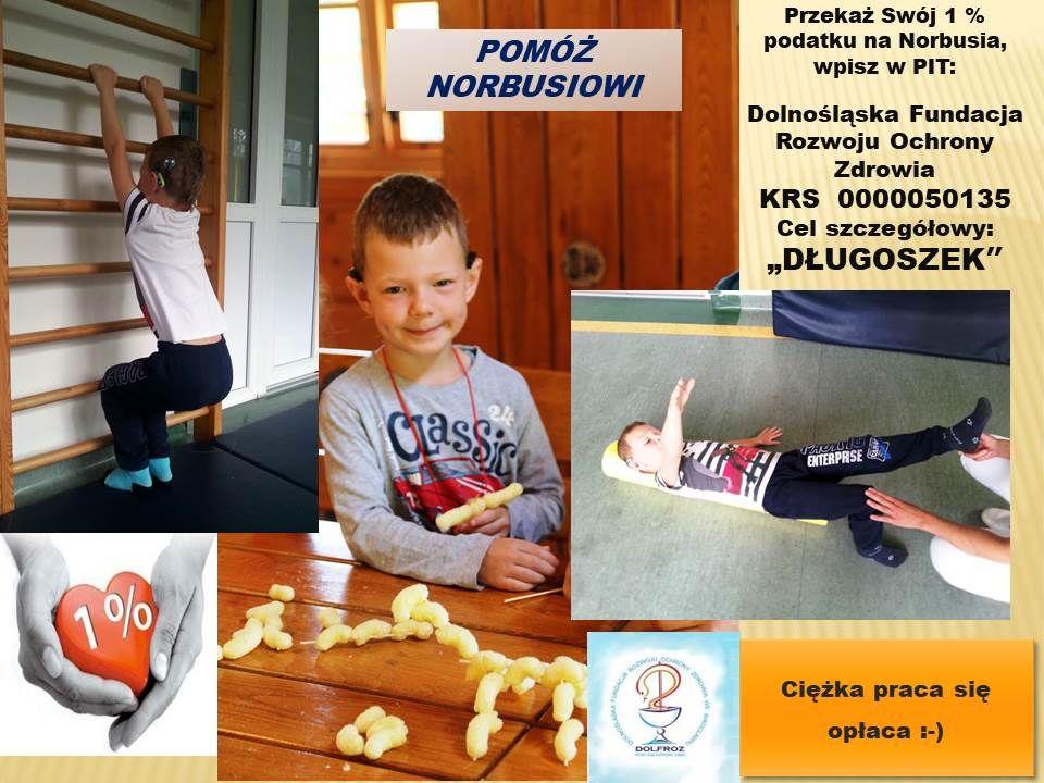 1% - Pomóż Norbusiowi