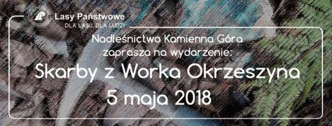 W poszukiwaniu skarbów