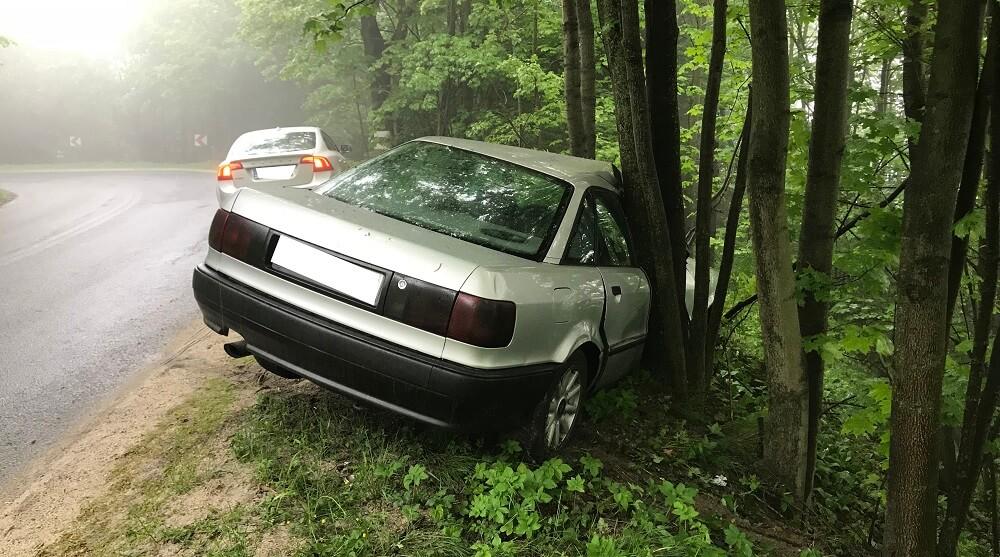 Audi na drzewie - Twoja powiatowa