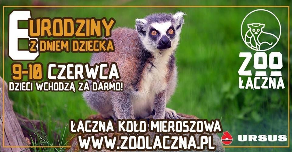 Urodziny zoo