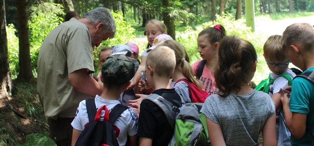Tropili przyrodę w Szkółce Leśnej w Krzeszowie