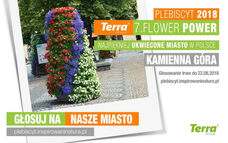 Zagłosuj na Kamienną Górę