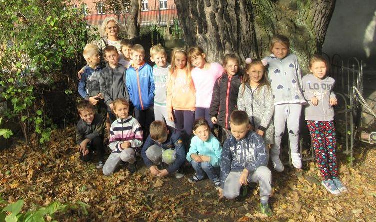 Poznawali pomniki przyrody w Kamiennej Górze