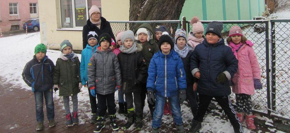 Poznali kolejne kamiennogórskie pomniki przyrody