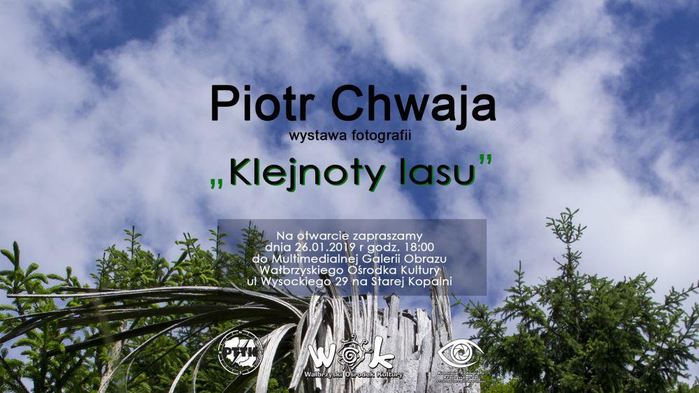 Klejnoty lasu