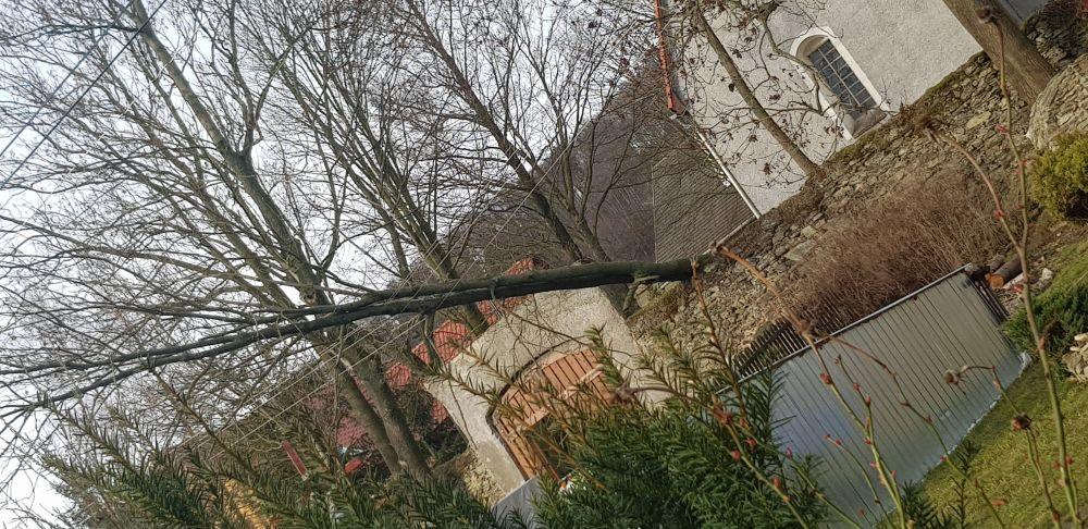 Drzewo na przewodach - Twoja powiatowa
