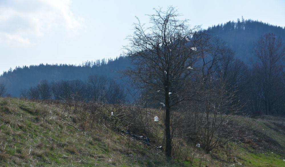 Bałagan przy drodze