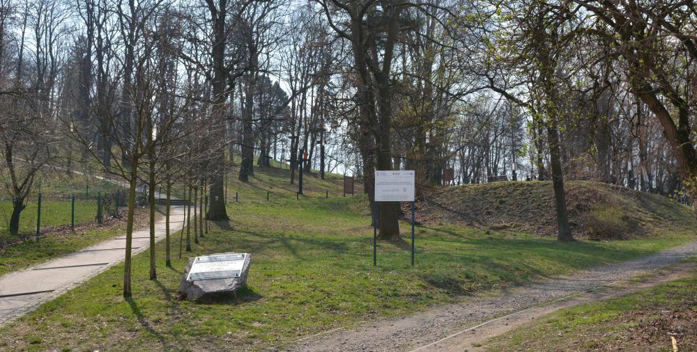 Wielkie sprzątanie Góry Parkowej