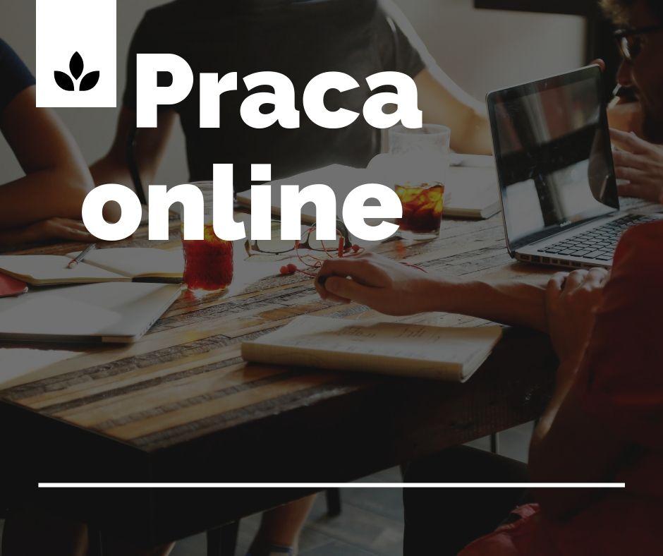 Freelancer - a kto to? Możliwości pracy online.