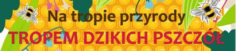 O pszczołach w Uniemyślu