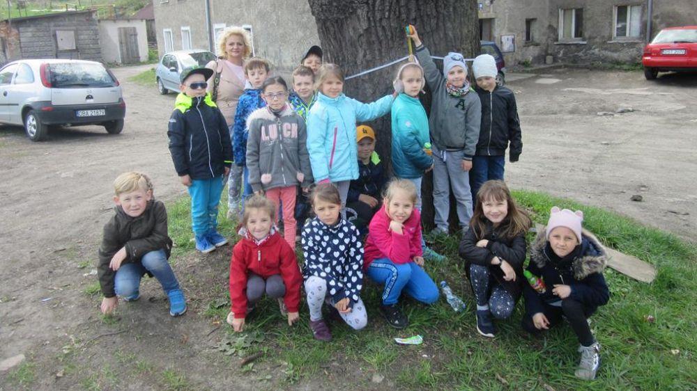 Tropili pomniki przyrody w Kamiennej Górze