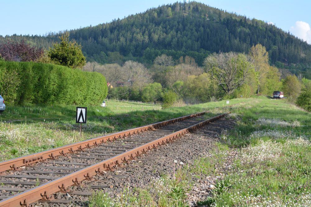 Ważniejsze linie