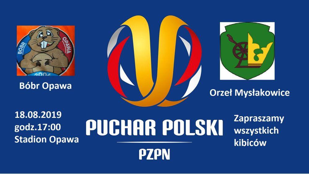 Bóbr w pucharze