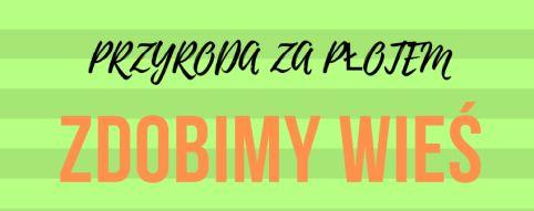Zdobimy wieś