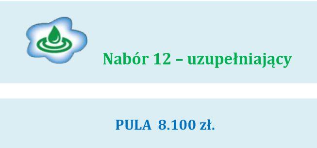 Projekty grantowe - nabór uzupełniający