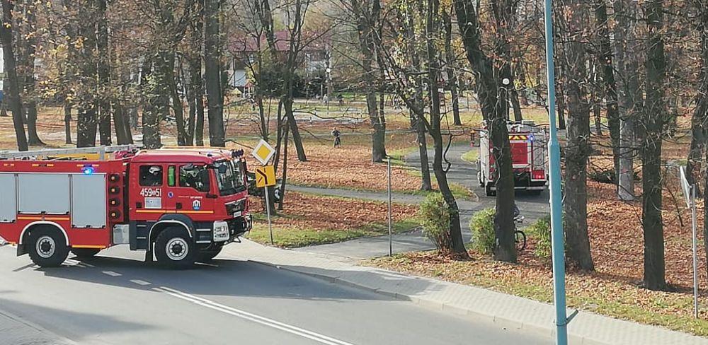Pożar przy parku