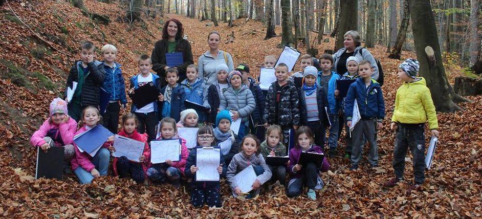 Poznawali drzewa rosnące w Karkonoszach