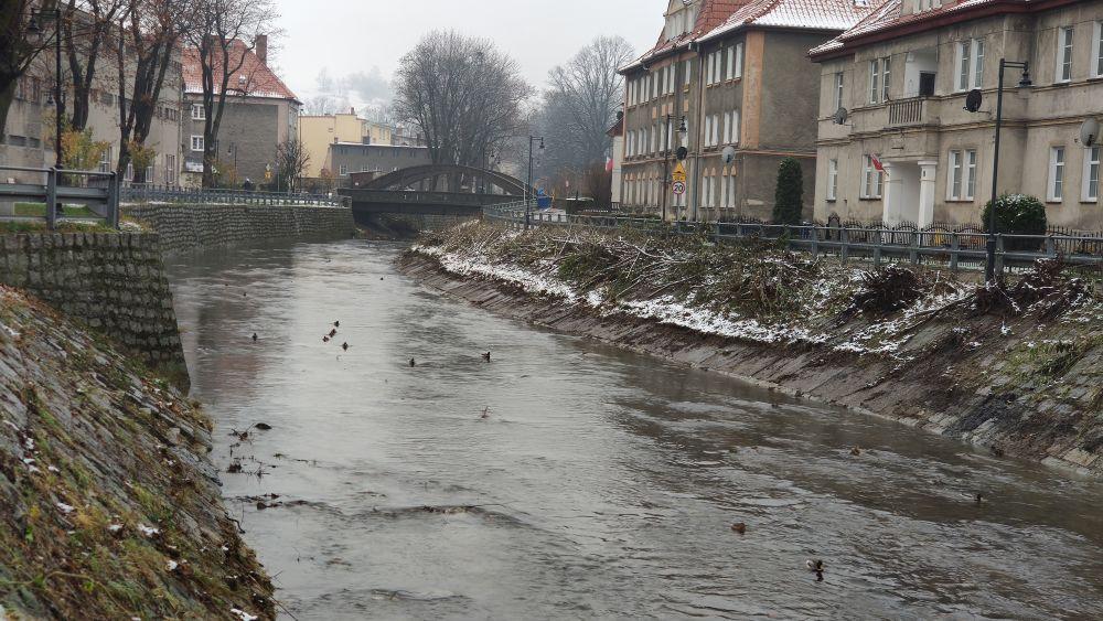 Czyszczą rzekę