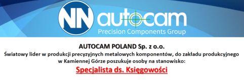 Oferta pracy - specjalista ds. księgowości