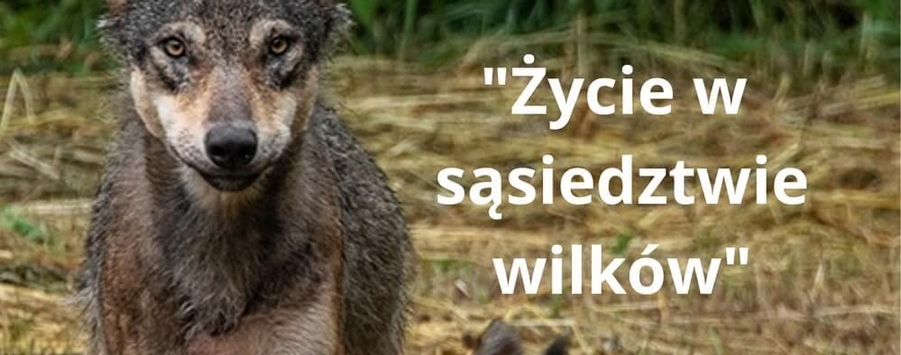Życie w sąsiedztwie wilków - spotkanie z mieszkańcami