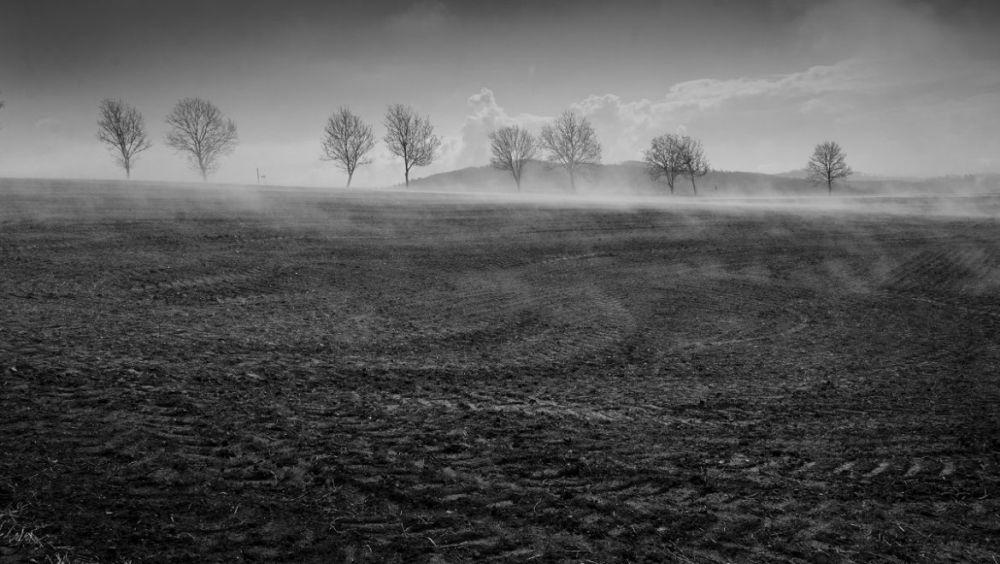 XI Doroczna Wystawa Komisji Fotografii Krajoznawczej