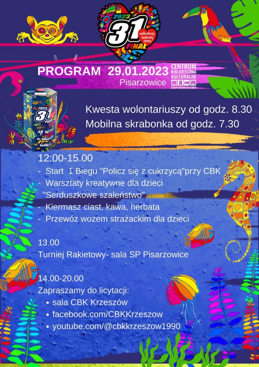 WOŚP Pisarzowice