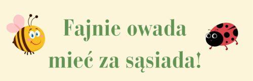 Wykłady, konkursy, warsztaty