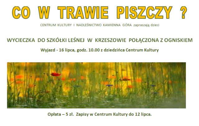 Co w trawie piszczy?