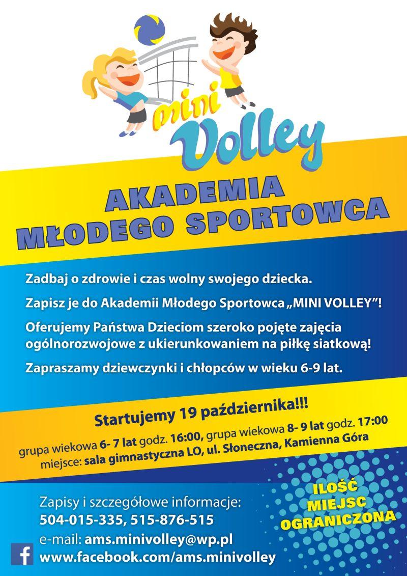 Mini Volley