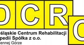 Oferta pracy - terapeuta zajęciowy